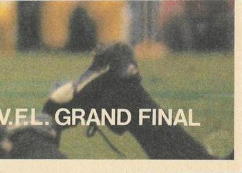 1980 Scanlens VFL #111 Nick Wilton Back